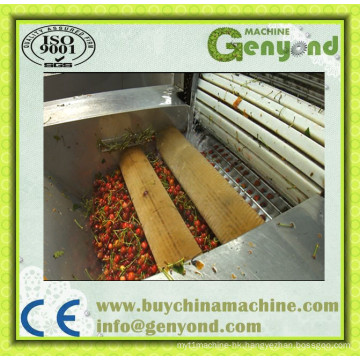 Amazing Cherry Stem Removing Machine, Cherry/Fruit Processing Machine